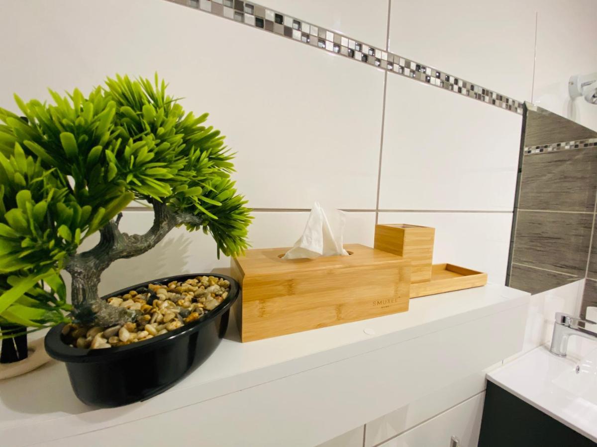 Apartament Na Starowce III ชิชเชนา ภายนอก รูปภาพ