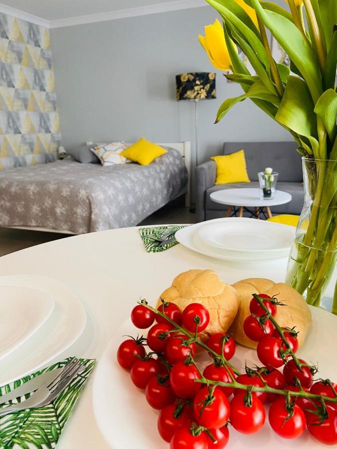 Apartament Na Starowce III ชิชเชนา ภายนอก รูปภาพ